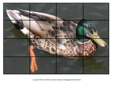 Puzzle-Stockente-4.pdf